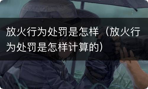 放火行为处罚是怎样（放火行为处罚是怎样计算的）