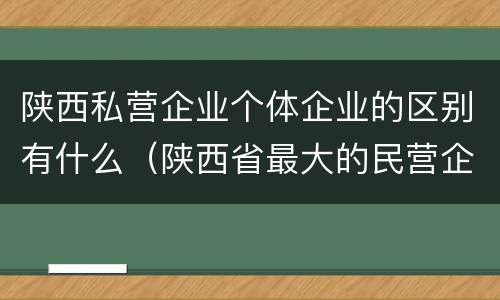 陕西私营企业个体企业的区别有什么（陕西省最大的民营企业是什么公司）