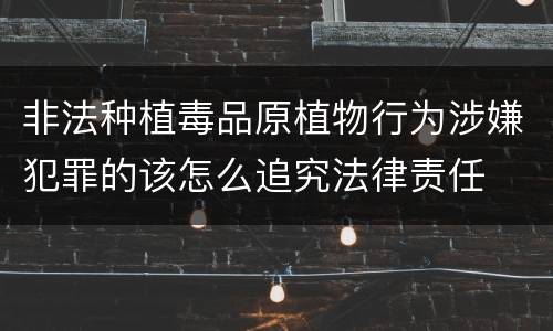 非法种植毒品原植物行为涉嫌犯罪的该怎么追究法律责任