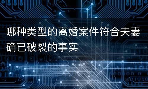 哪种类型的离婚案件符合夫妻确已破裂的事实