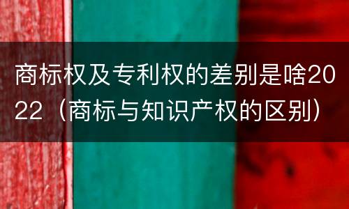 商标权及专利权的差别是啥2022（商标与知识产权的区别）