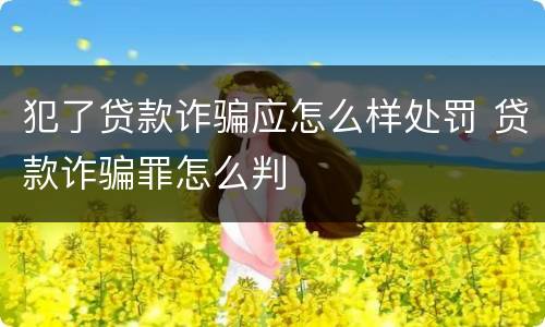 犯了贷款诈骗应怎么样处罚 贷款诈骗罪怎么判