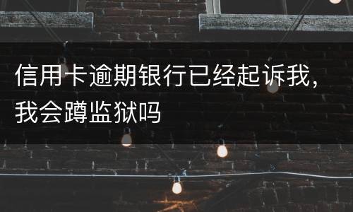信用卡逾期银行已经起诉我，我会蹲监狱吗