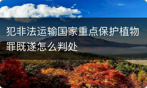 犯非法运输国家重点保护植物罪既遂怎么判处