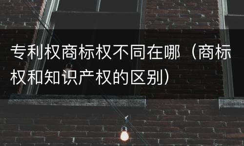 专利权商标权不同在哪（商标权和知识产权的区别）