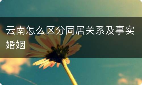 云南怎么区分同居关系及事实婚姻