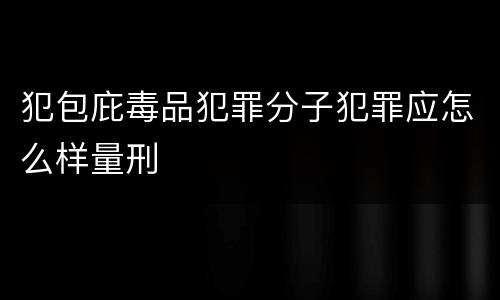 犯包庇毒品犯罪分子犯罪应怎么样量刑