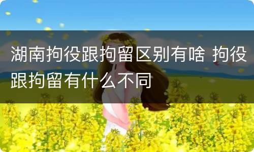 湖南拘役跟拘留区别有啥 拘役跟拘留有什么不同