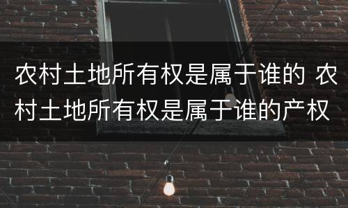 农村土地所有权是属于谁的 农村土地所有权是属于谁的产权