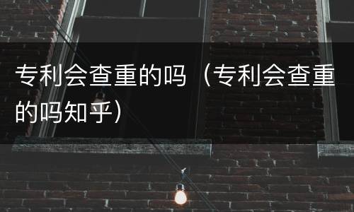 专利会查重的吗（专利会查重的吗知乎）