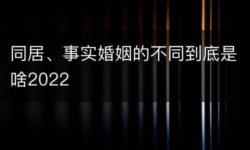 同居、事实婚姻的不同到底是啥2022