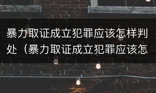 暴力取证成立犯罪应该怎样判处（暴力取证成立犯罪应该怎样判处罚款）