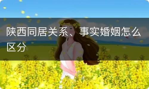 陕西同居关系、事实婚姻怎么区分