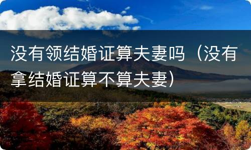 没有领结婚证算夫妻吗（没有拿结婚证算不算夫妻）
