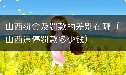 山西罚金及罚款的差别在哪（山西违停罚款多少钱）