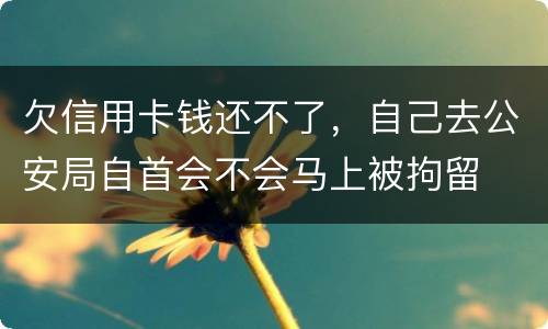 欠信用卡钱还不了,自己去公安局自首会不会马上被拘留