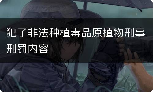 犯了非法种植毒品原植物刑事刑罚内容