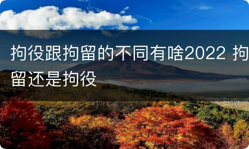 拘役跟拘留的不同有啥2022 拘留还是拘役
