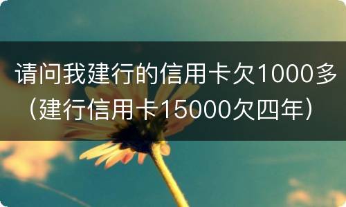 请问我建行的信用卡欠1000多（建行信用卡15000欠四年）