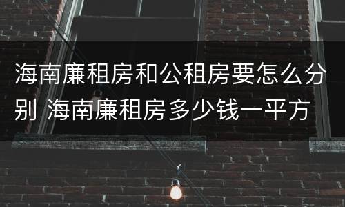 海南廉租房和公租房要怎么分别 海南廉租房多少钱一平方