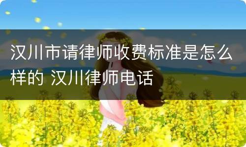 汉川市请律师收费标准是怎么样的 汉川律师电话