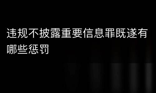 违规不披露重要信息罪既遂有哪些惩罚