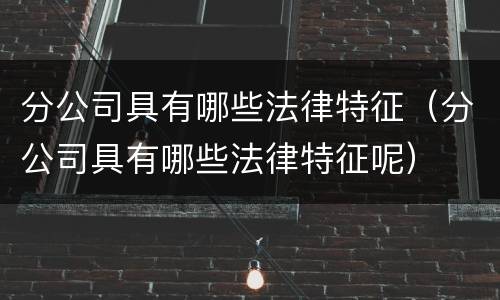 分公司具有哪些法律特征（分公司具有哪些法律特征呢）