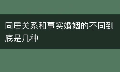 同居关系和事实婚姻的不同到底是几种