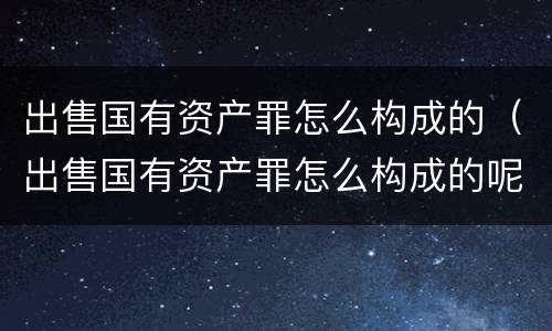 出售国有资产罪怎么构成的（出售国有资产罪怎么构成的呢）