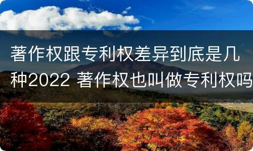 著作权跟专利权差异到底是几种2022 著作权也叫做专利权吗