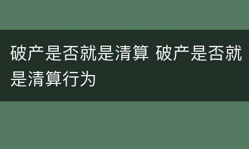 破产是否就是清算 破产是否就是清算行为