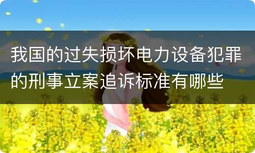 我国的过失损坏电力设备犯罪的刑事立案追诉标准有哪些