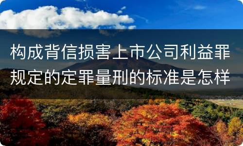 构成背信损害上市公司利益罪规定的定罪量刑的标准是怎样的