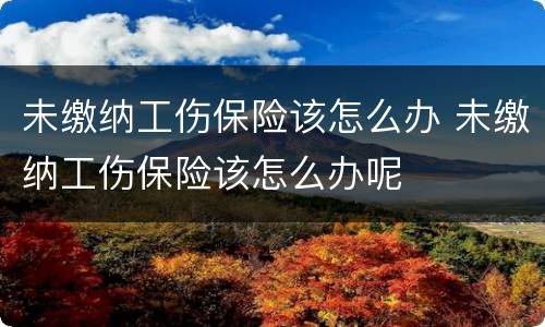 未缴纳工伤保险该怎么办 未缴纳工伤保险该怎么办呢