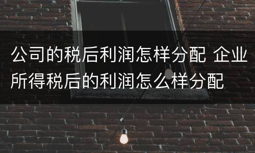 公司的税后利润怎样分配 企业所得税后的利润怎么样分配