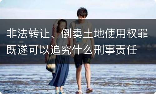 非法转让、倒卖土地使用权罪既遂可以追究什么刑事责任