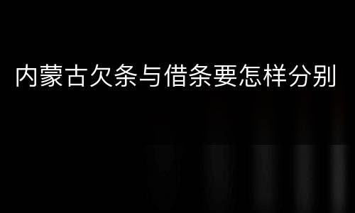 内蒙古欠条与借条要怎样分别