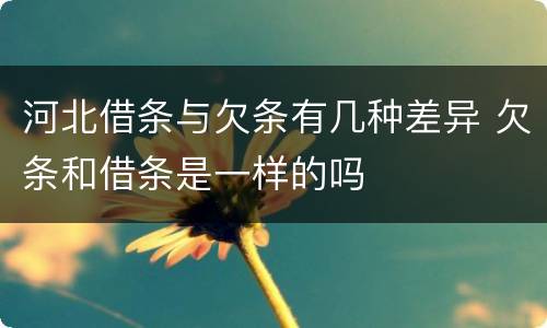 河北借条与欠条有几种差异 欠条和借条是一样的吗
