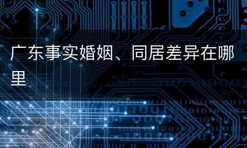 广东事实婚姻、同居差异在哪里