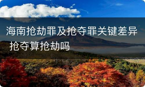 海南抢劫罪及抢夺罪关键差异 抢夺算抢劫吗
