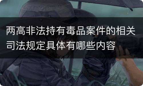两高非法持有毒品案件的相关司法规定具体有哪些内容