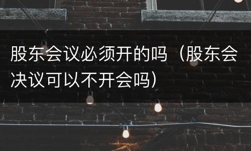 股东会议必须开的吗（股东会决议可以不开会吗）