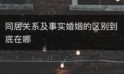 同居关系及事实婚姻的区别到底在哪