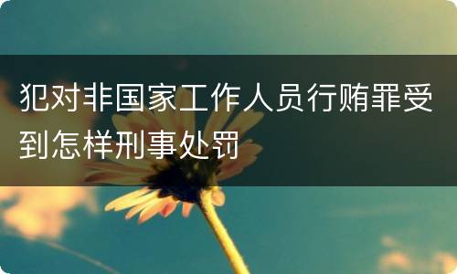 犯对非国家工作人员行贿罪受到怎样刑事处罚