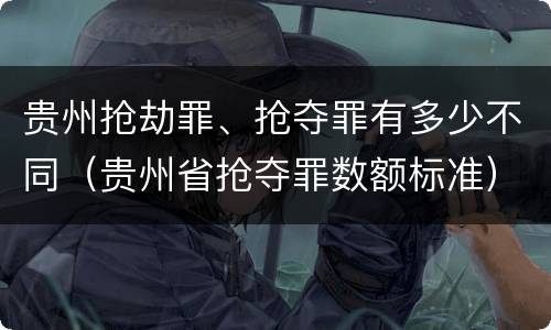 贵州抢劫罪、抢夺罪有多少不同（贵州省抢夺罪数额标准）