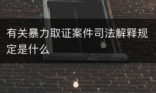 有关暴力取证案件司法解释规定是什么