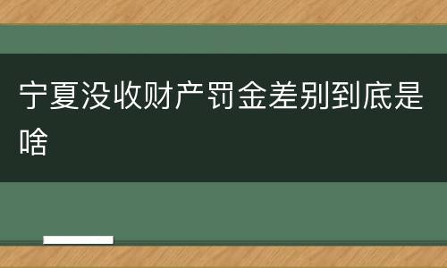 宁夏没收财产罚金差别到底是啥