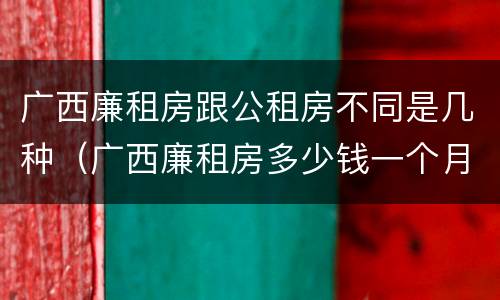 广西廉租房跟公租房不同是几种（广西廉租房多少钱一个月）