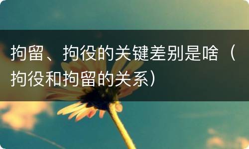 拘留、拘役的关键差别是啥（拘役和拘留的关系）