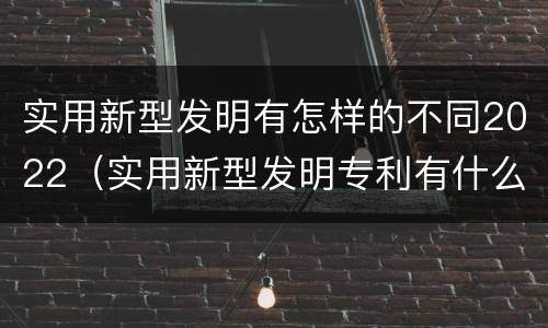 实用新型发明有怎样的不同2022（实用新型发明专利有什么用）
